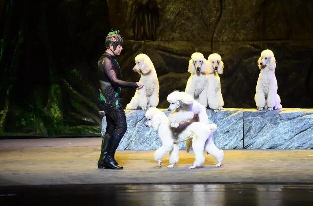 《小丑动物嘉年华之反斗动物城》