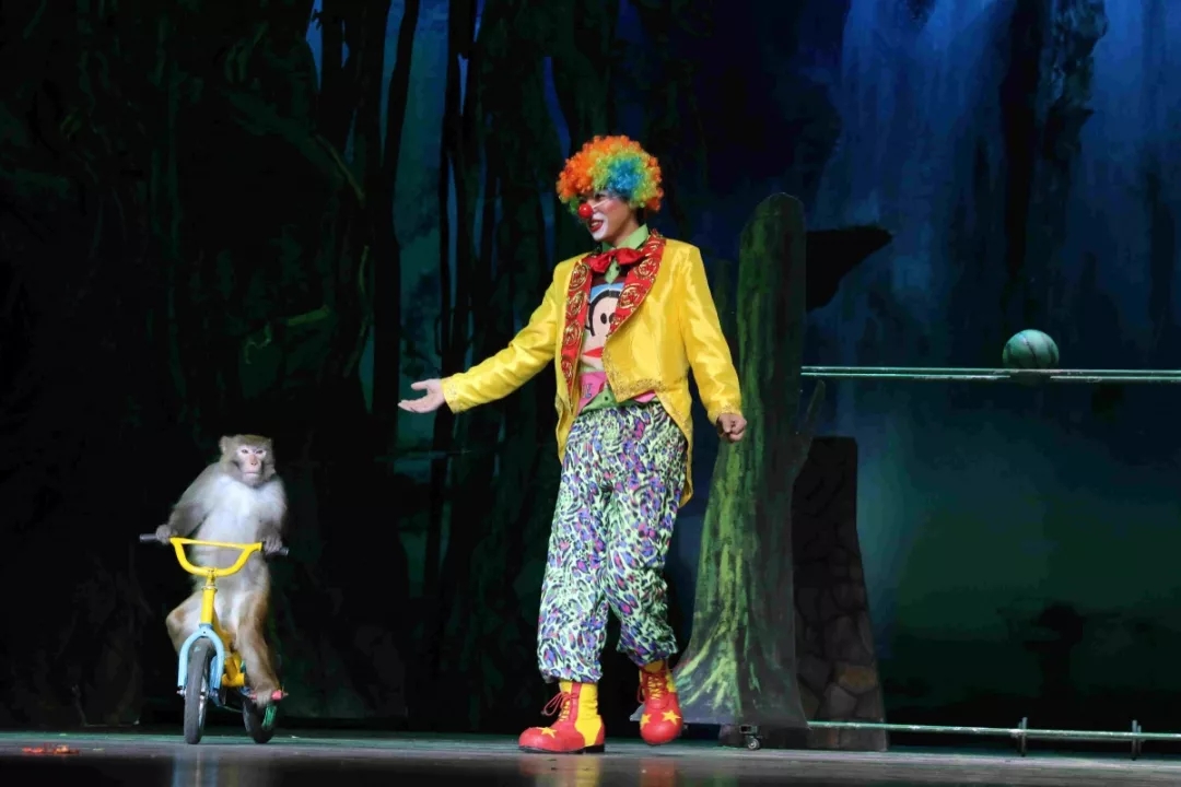 《小丑动物嘉年华之反斗动物城》