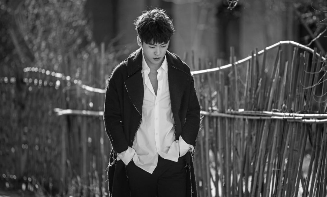 2019隔壁老樊马条昌吉群星演唱会