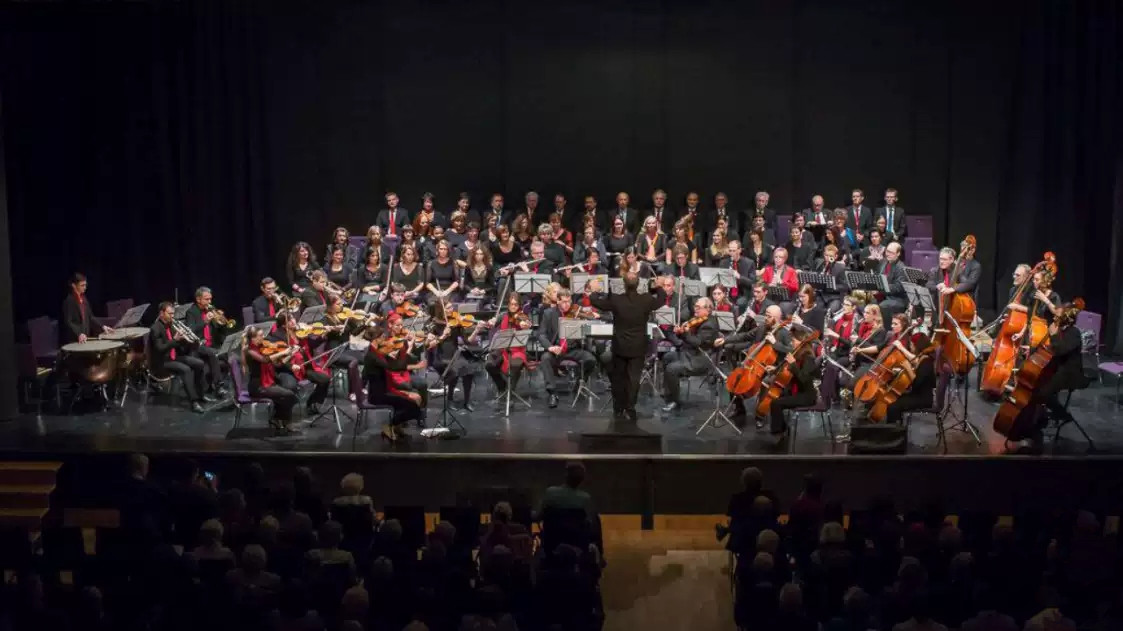 奥地利维也纳古典交响乐团