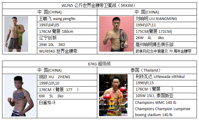 林风搏击世界杯