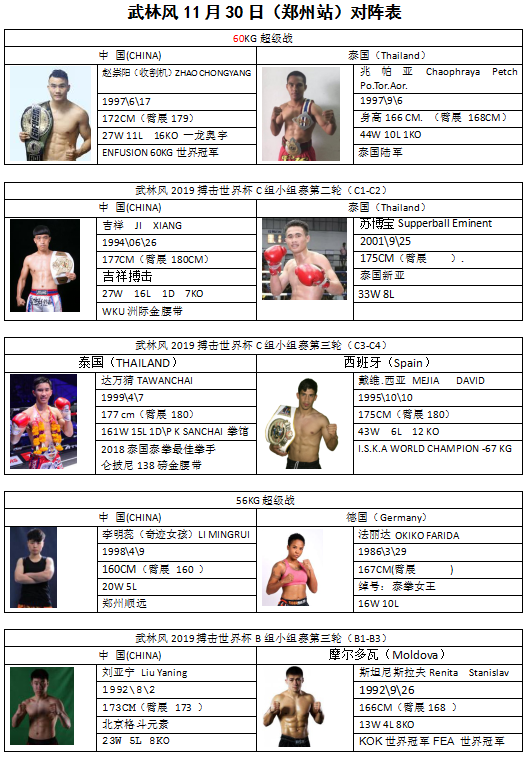 林风搏击世界杯