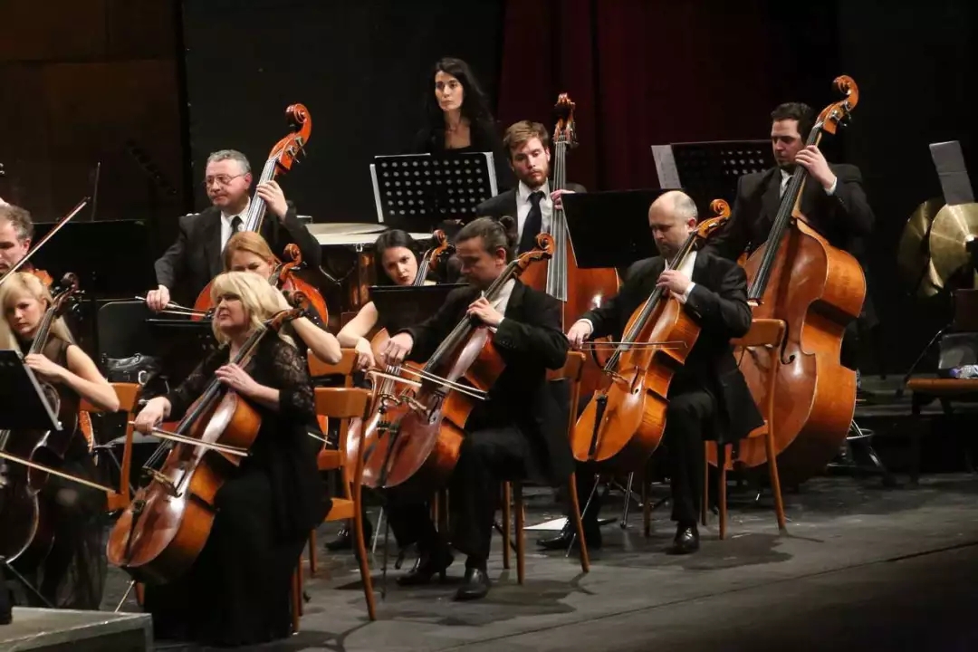 塞尔维亚国家歌剧院交响乐团