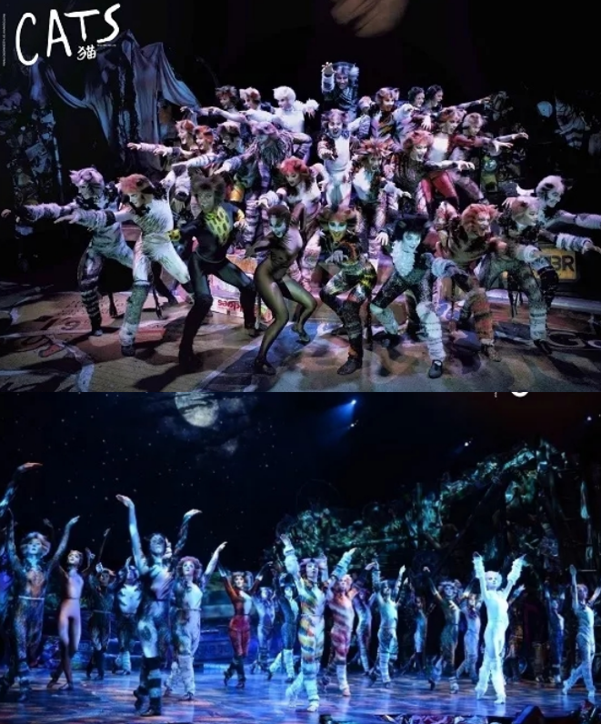 2021音乐剧《猫》上海站演出安排(时间、地点、门票) 2021音乐剧《猫》上海站演出安排(时间、地点、门票)