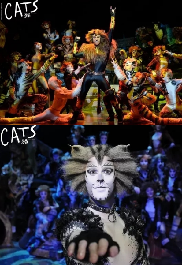 2021音乐剧《猫》上海站演出安排(时间、地点、门票) 2021音乐剧《猫》上海站演出安排(时间、地点、门票)