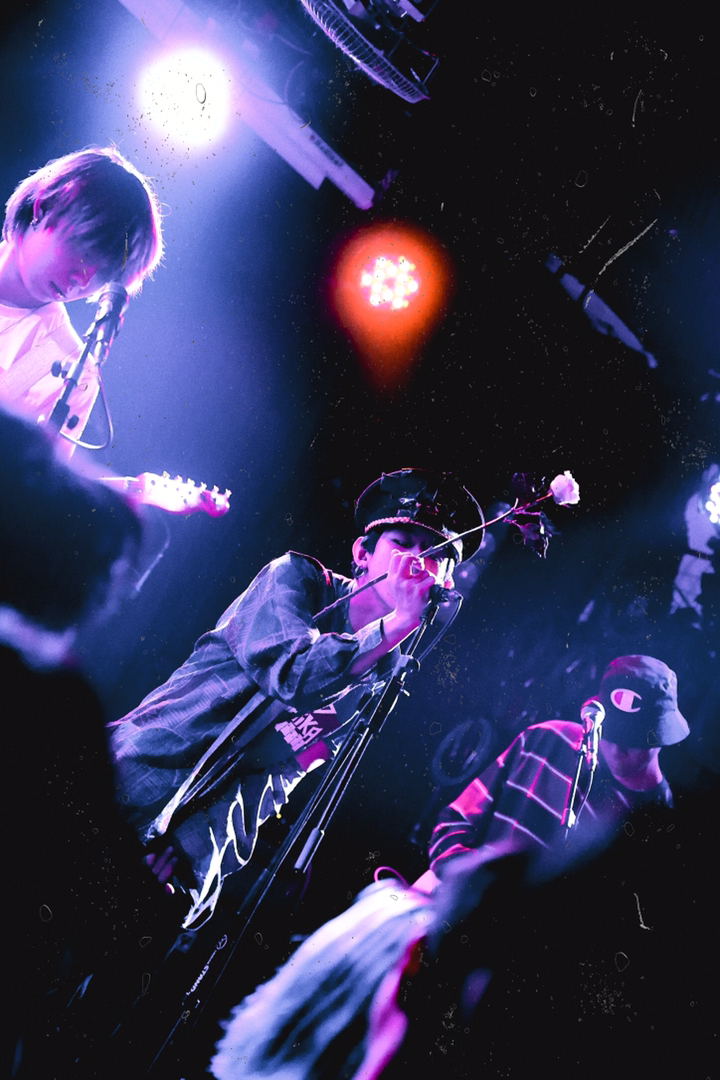 丢莱卡乐队演唱会