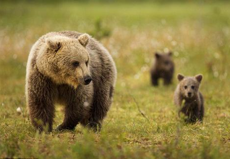 2021儿童剧《憨憨熊卖时间》济南站时间、地点、门票价格