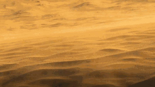 2023MTA天漠音乐节（时间+地点+订票方式）