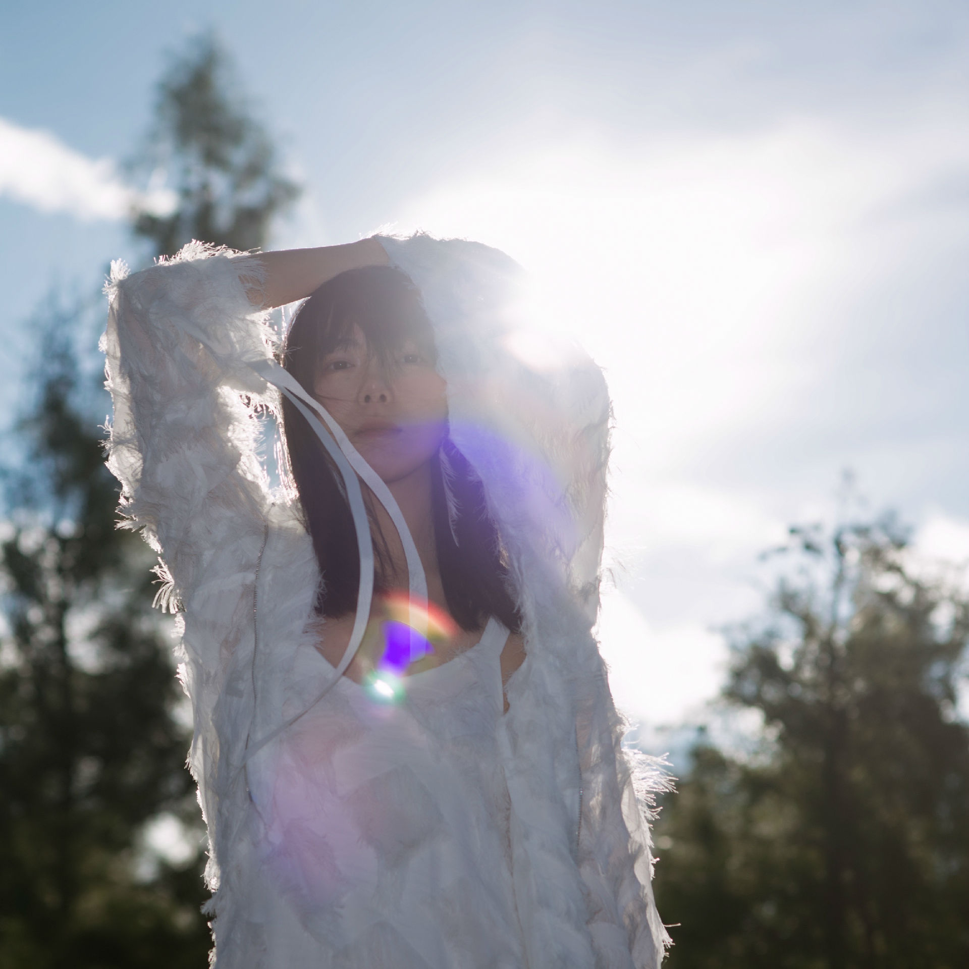 仙羽 “悬崖的花”