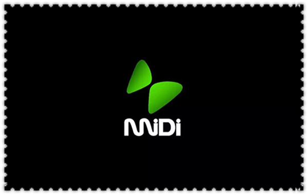 2020苏州太湖迷笛音乐节