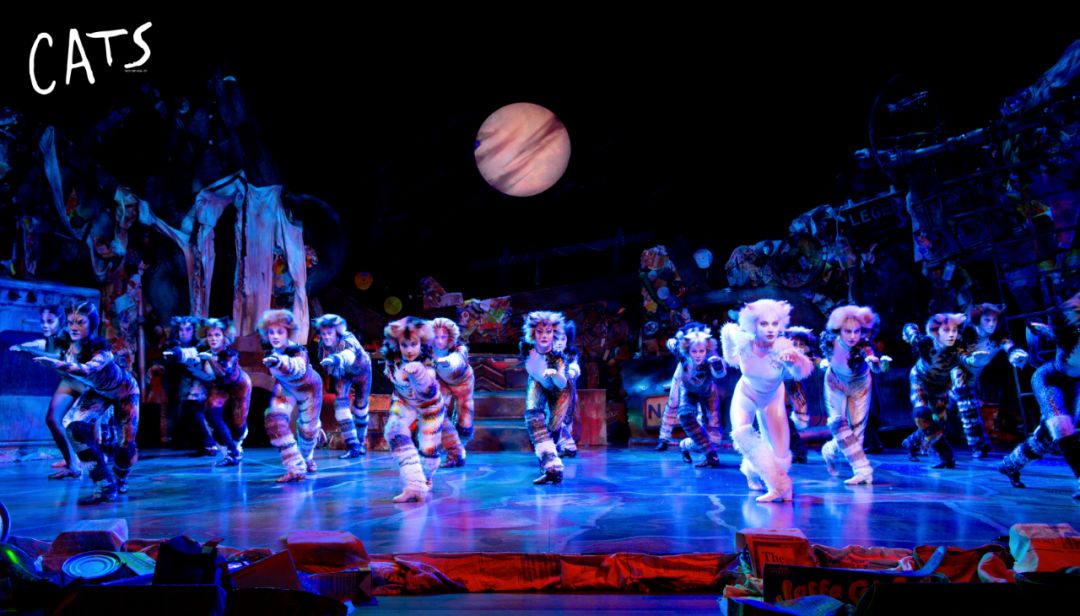 2022世界原版经典音乐剧《猫》CATS-济南站