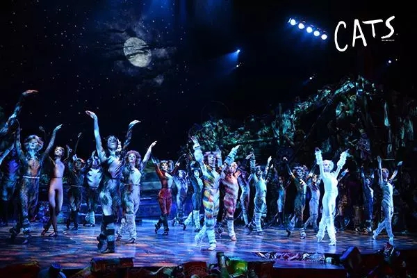 2022世界原版经典音乐剧《猫》CATS-济南站
