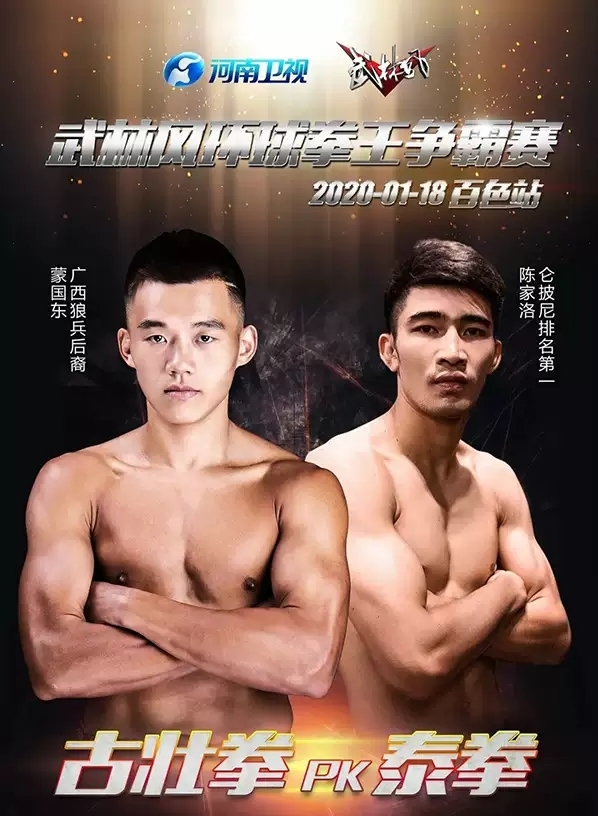 武林风环球拳王争霸赛