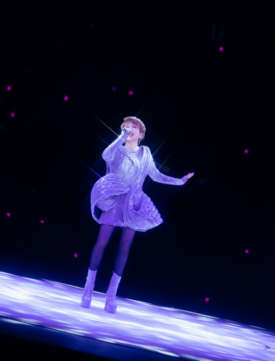 2026陈慧娴“The Fabulous 40”巡回演唱会-郑州站