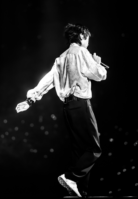 2026新裤子上海演唱会 观演须知:门票价格+禁止携带物品+入场时间 2026新裤子上海演唱会 观演须知:门票价格+禁止携带物品+入场时间