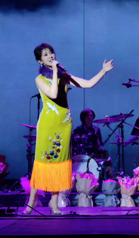 2026《我只在乎你》—陈佳 邓丽君经典金曲专场演唱会-哈尔滨站