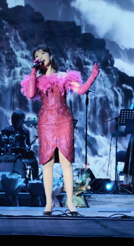 2026《我只在乎你》—陈佳 邓丽君经典金曲专场演唱会-哈尔滨站