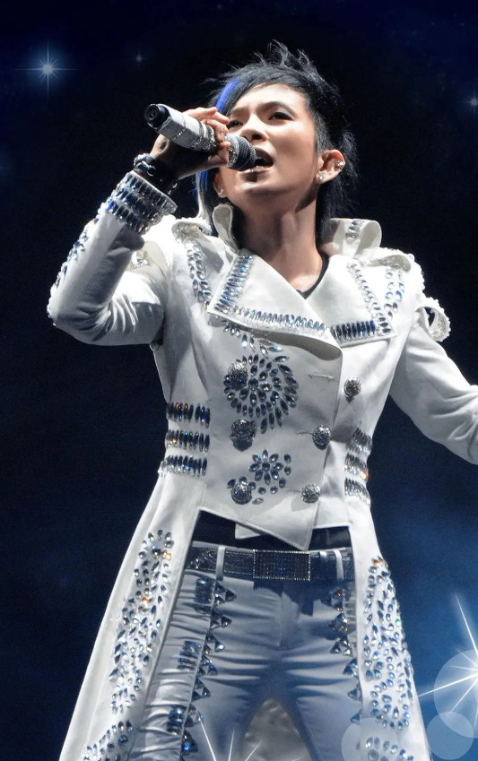 2026潘美辰重庆「回家2.0」巡回演唱会门票价格+时间地点+全攻略