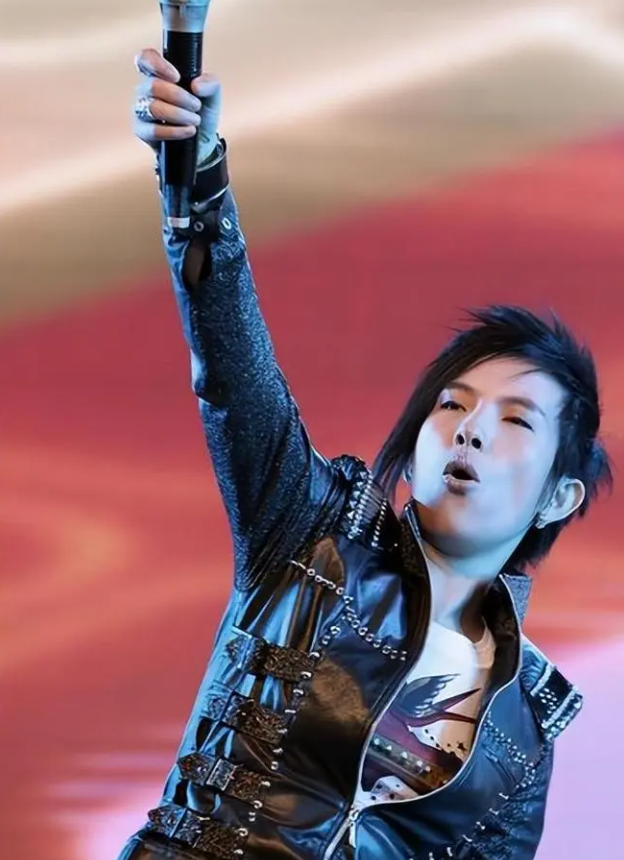 2026潘美辰重庆「回家2.0」巡回演唱会时间、地点、门票价格