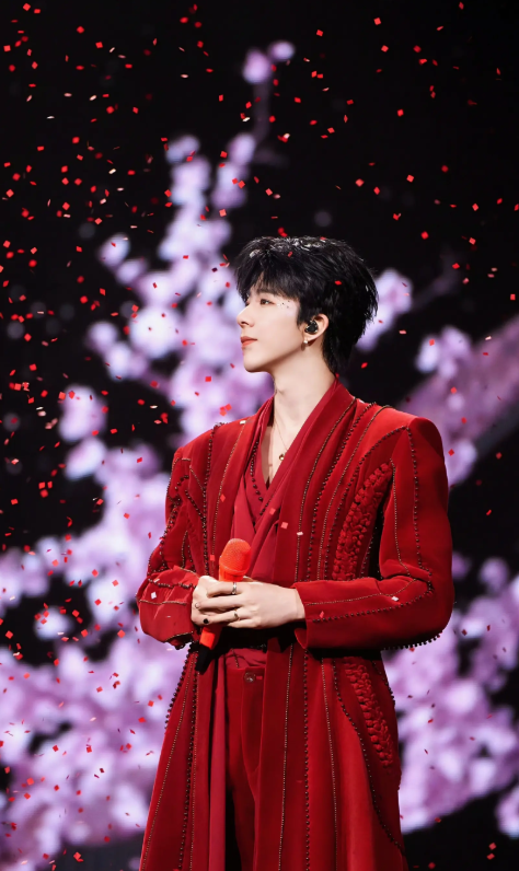 2026「刘宇宁的」2025巡演—南京站 2026「刘宇宁的」2025巡演—南京站