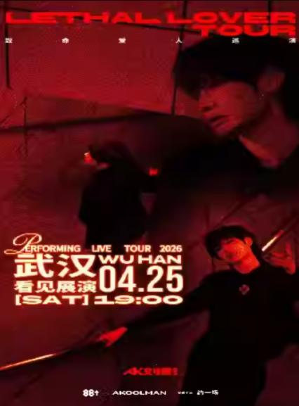 AK刘彰武汉演唱会