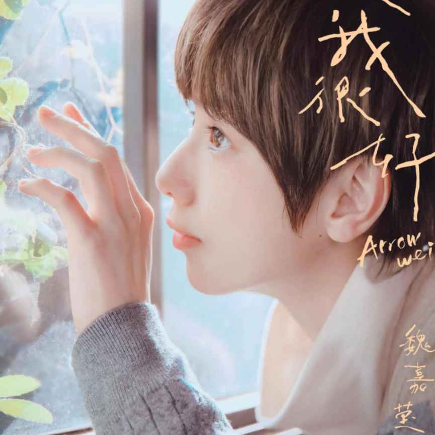 2026魏嘉莹北京演唱会（时间+地点+票价）信息一览