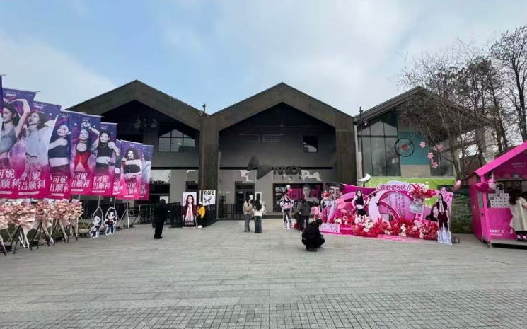 杭州迷笛live