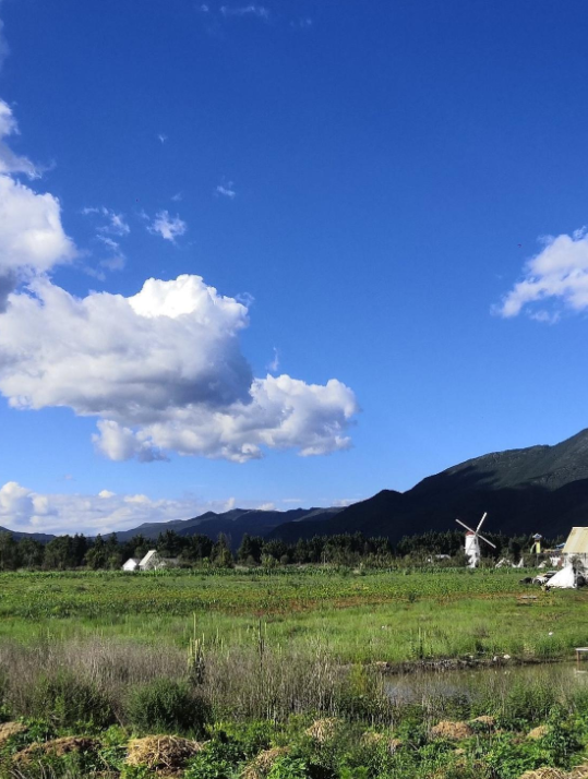 雪山花海乐园