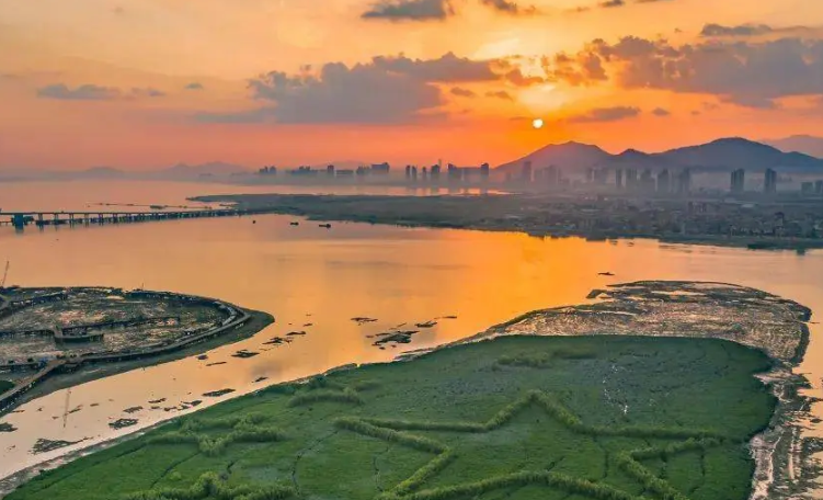 厦门市翔安下潭尾湿地公园