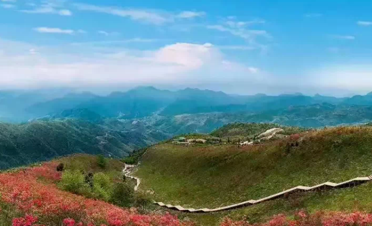 佛岭森林公园