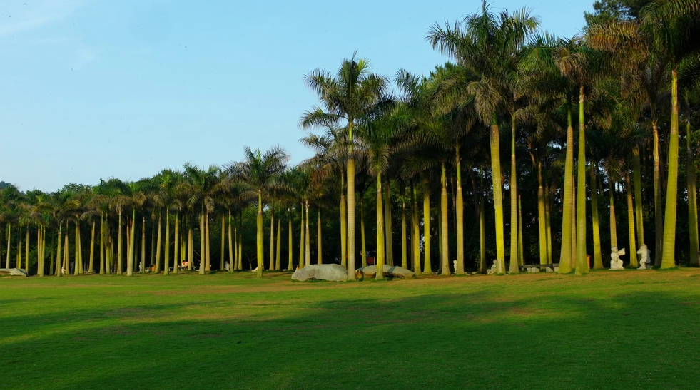 南宁市青秀山风景区环山秀坪场馆图片