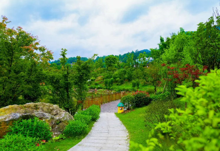 四面山花小原景区