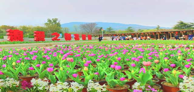 安徽省蚌埠市安徽文创·花博园