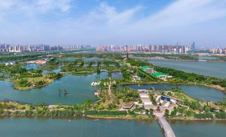 南昌西湖区欢乐象湖草坪