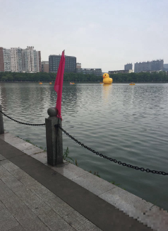 湖北远安桃花岛生态公园