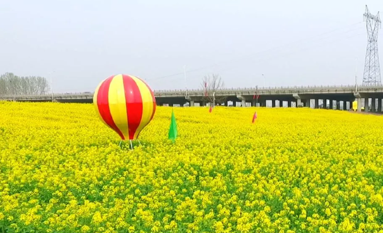 山东省济宁市兖州区新兖镇牛楼花海彩田景区