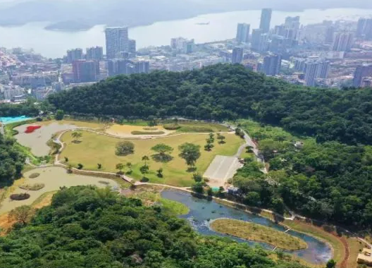 恩上湿地公园