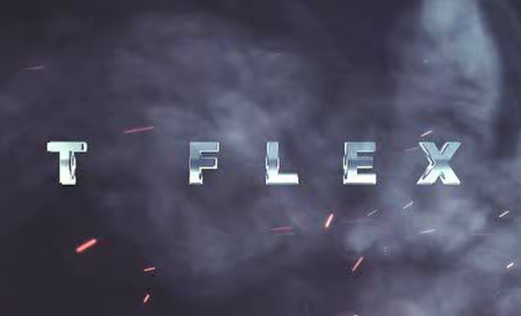 天津T-FLEX