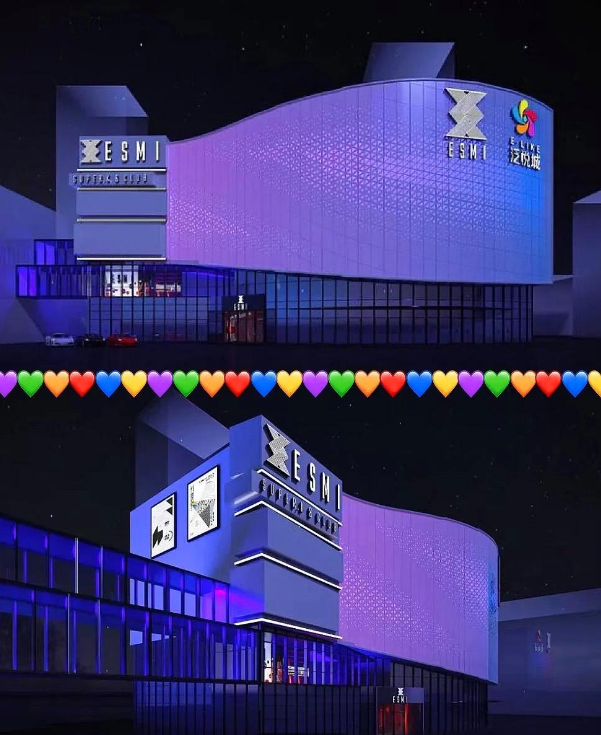 武汉ESMI