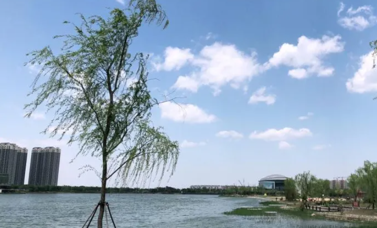 滨城北海公园
