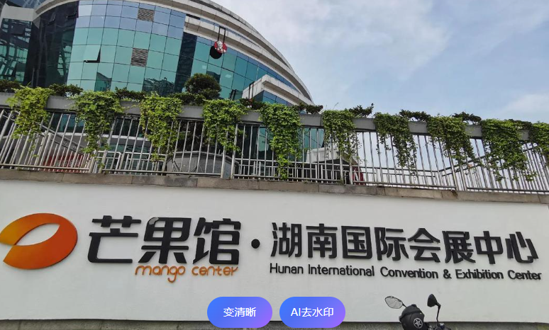 湖南国际会展中心·芒果馆场馆图片
