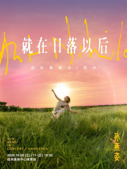 孙燕姿杭州演唱会